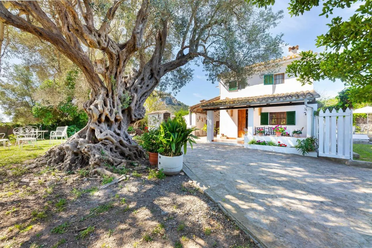 Finca Sa Llegua Villa Alcudia  0*, Alcudia (Mallorca)
